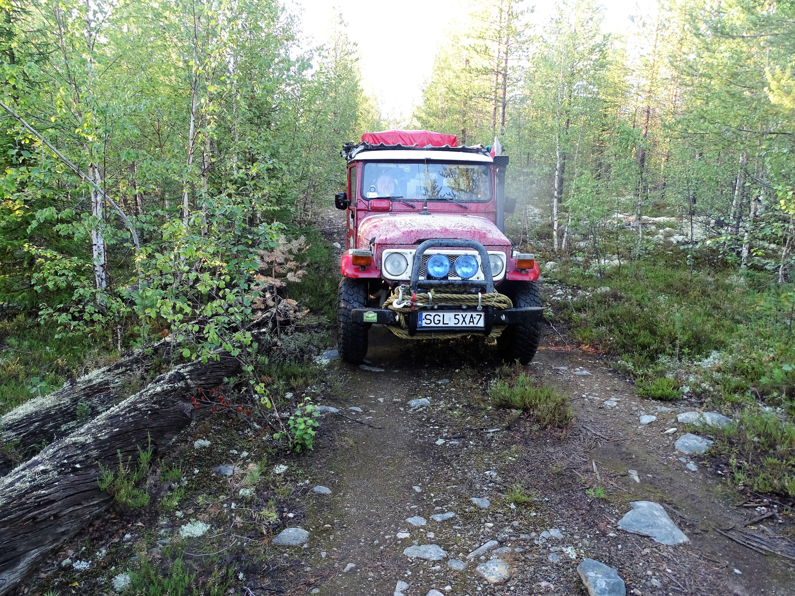 Zdjęcie Piotra Kulczyny z jego wyprawy na północ Rosji. Czerwony samochód terenowy toyota z gliwicką rejestracją stoi w niewysokim, rzadkim lesie z przewagą młodej brzozy.