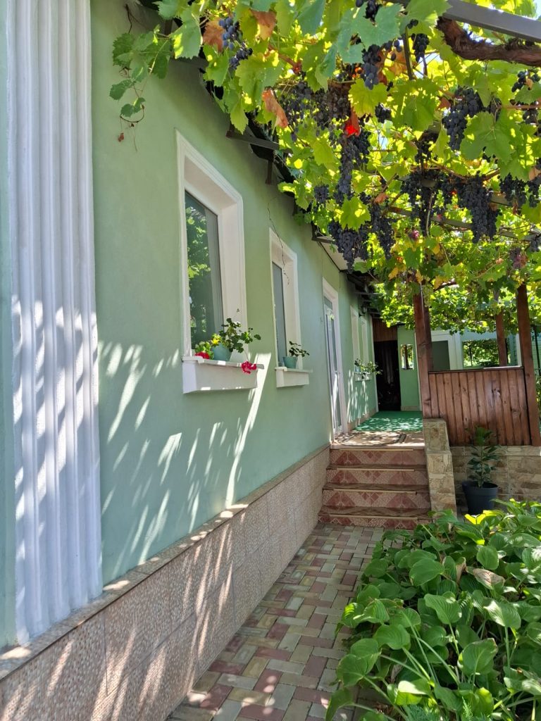 Ściana domu w kolorze zielonym. Ścieżka prowadząca do wejścia zacieniona