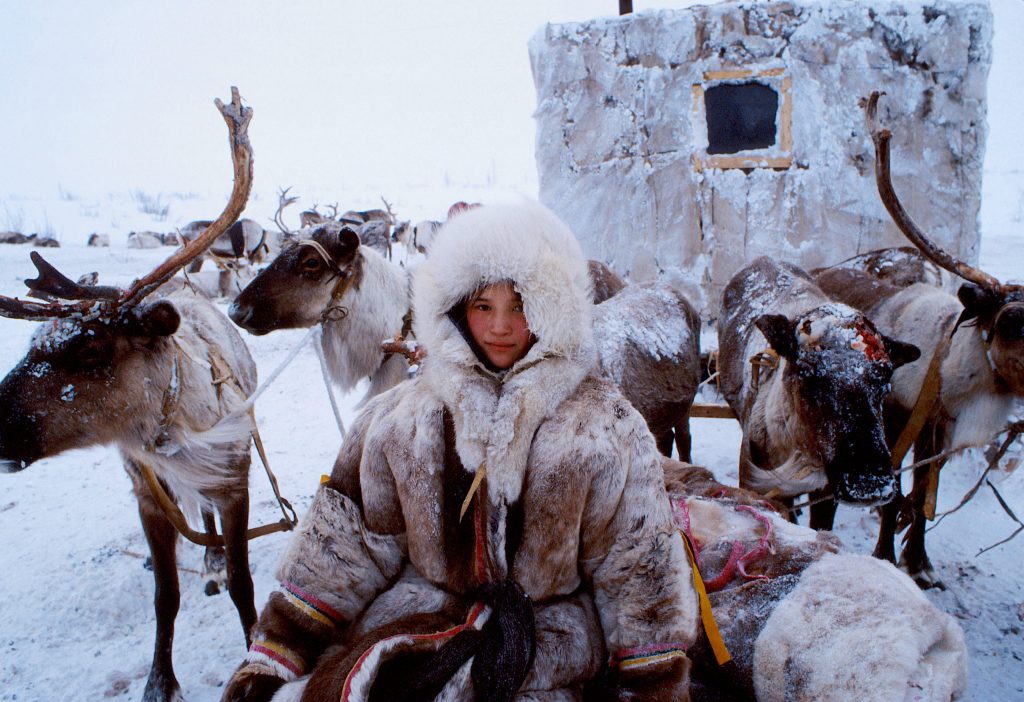 Młoda osoba w tradycyjnym futrzanym stroju siedzi na śniegu wśród zaprzęgu reniferów.
