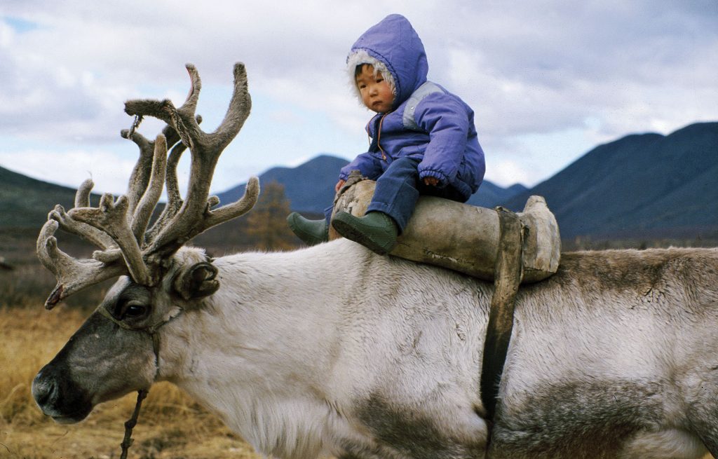 Małe dziecko w fioletowej kurtce i zielonych butach siedzi na grzbiecie renifera z dużymi porożami. W tle góry i suche trawy.