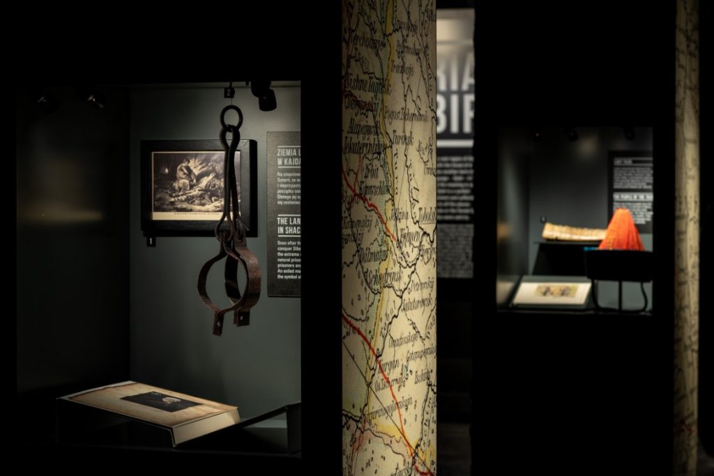 Część wystawy stałej, gabloty z eksponatami.