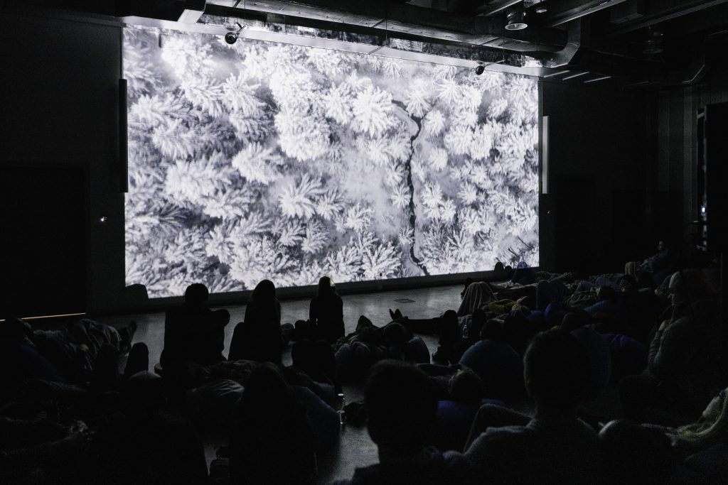 Grupa ludzi siedzi na podłodze w ciemnym pomieszczeniu, oglądając projekcję na dużym ekranie. Na ekranie wyświetlany jest obraz przypominający zimowy krajobraz z drzewami pokrytymi śniegiem. Sylwetki widzów są ciemne, co kontrastuje z jasnym obrazem na ekranie.