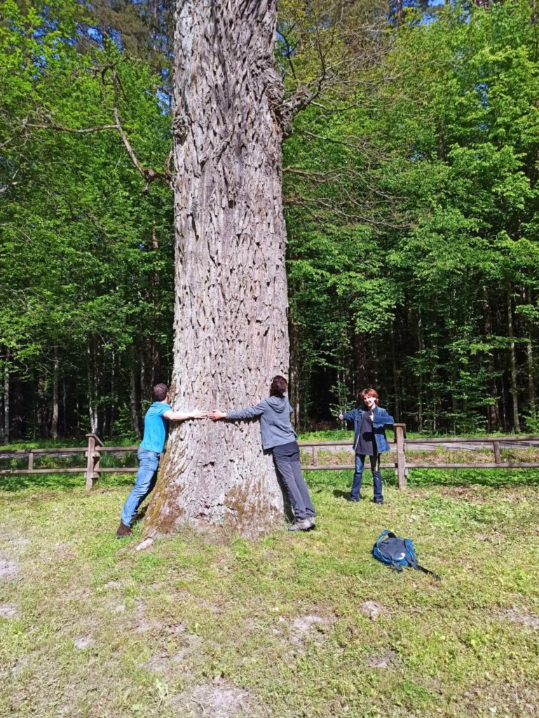 Uczestnicy konferencji EMYA 2025 podczas wycieczki do Białowieży.